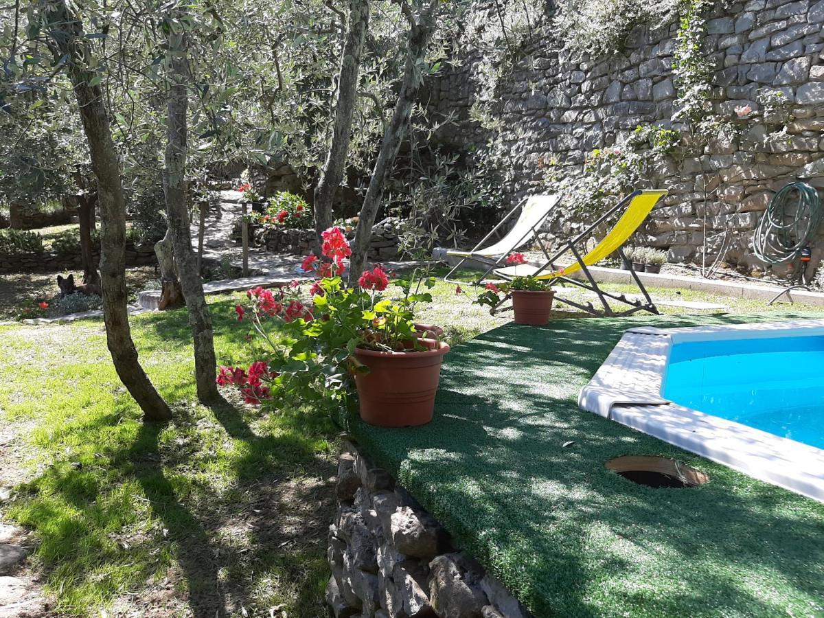 Ada Fiesole