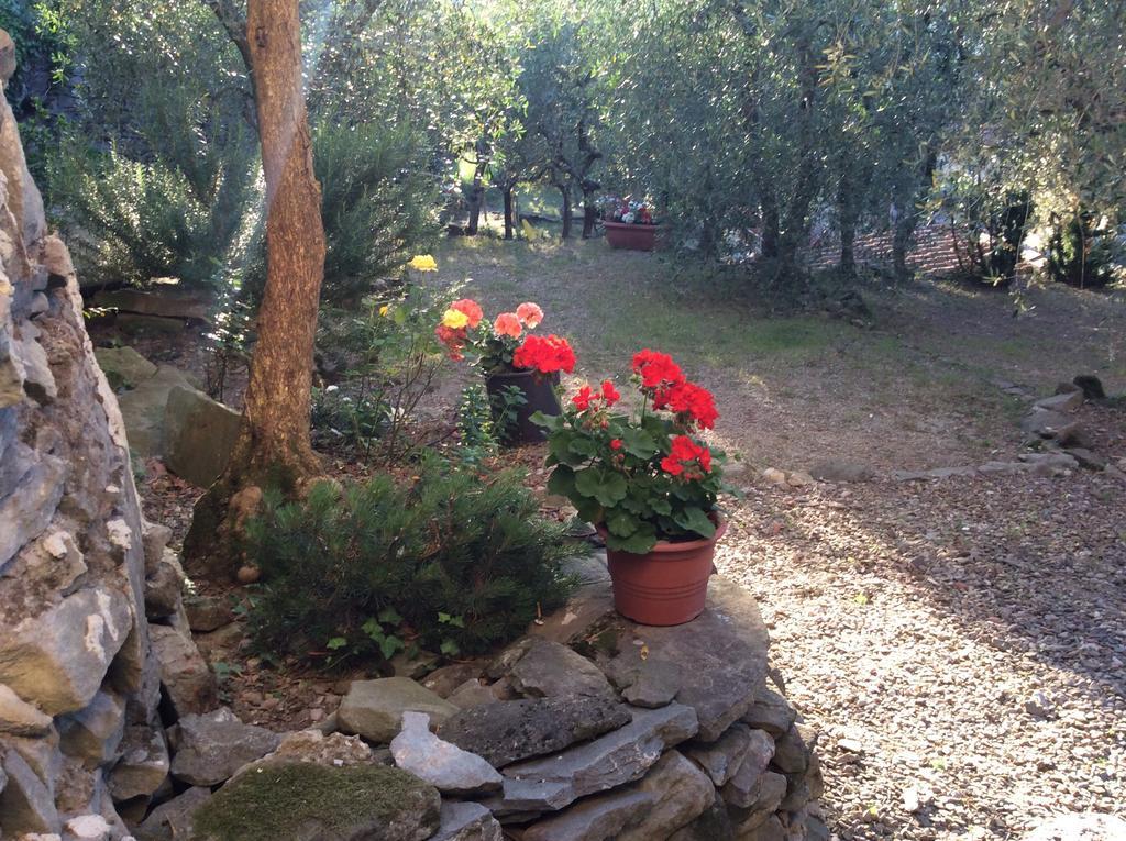 Ada Holiday home *